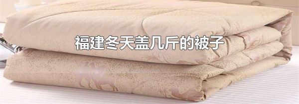 福建冬天盖几斤的被子
