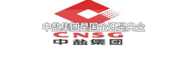 中盐集团是国企还是央企