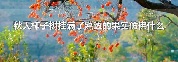 秋天柿子树挂满了熟透的果实仿佛什么