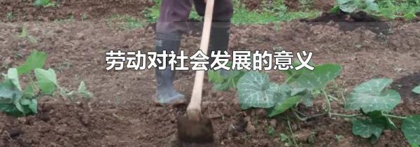 劳动对社会发展的意义