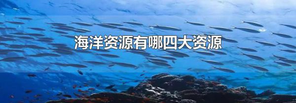 海洋资源有哪四大资源