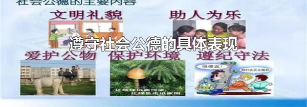 遵守社会公德的具体表现