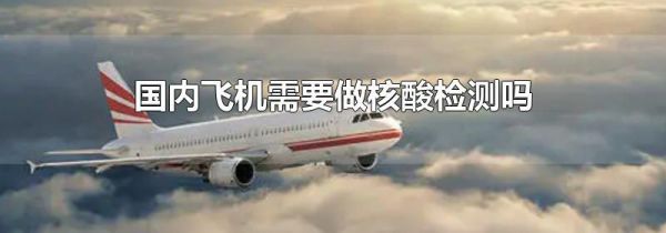 国内飞机需要做核酸检测吗