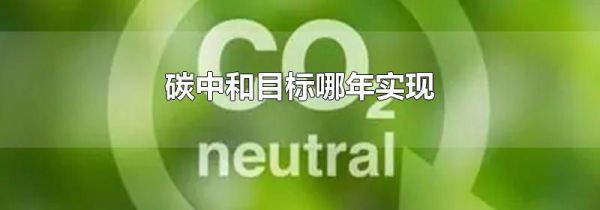 碳中和目标哪年实现