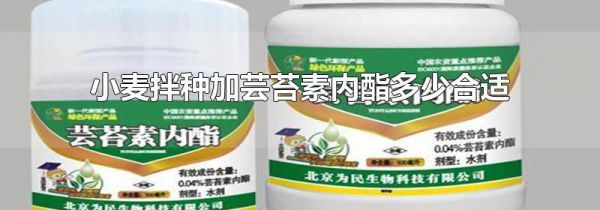 小麦拌种加芸苔素内酯多少合适