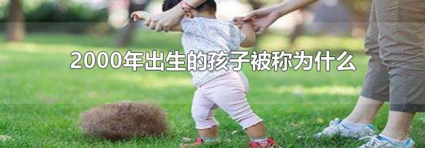 2000年出生的孩子被称为什么