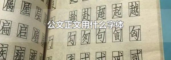 公文正文用什么字体