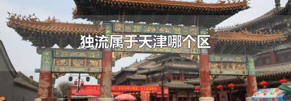 独流属于天津哪个区