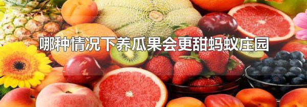 哪种情况下养瓜果会更甜蚂蚁庄园