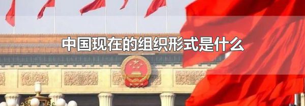 中国现在的组织形式是什么