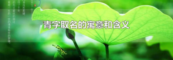 青字取名的寓意和含义