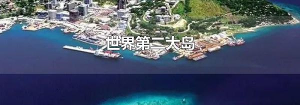 世界第二大岛