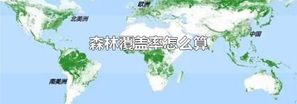 森林覆盖率怎么算