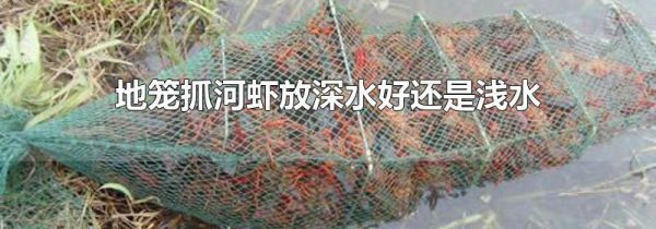 地笼抓河虾放深水好还是浅水