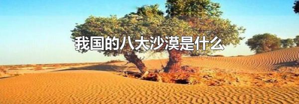 我国的八大沙漠是什么