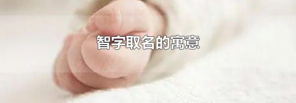 智字取名的寓意