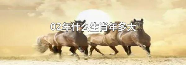 02年什么生肖年多大