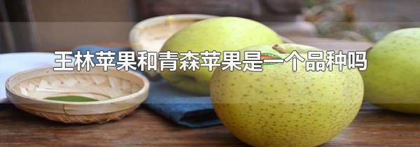 王林苹果和青森苹果是一个品种吗