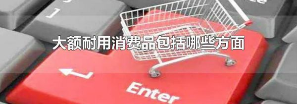大额耐用消费品包括哪些方面
