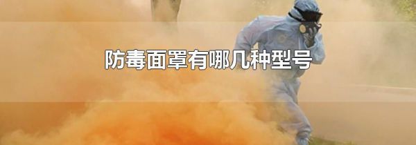 防毒面罩有哪几种型号