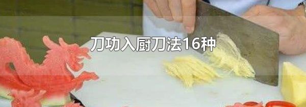 刀功入厨刀法16种