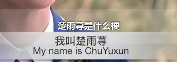楚雨荨是什么梗