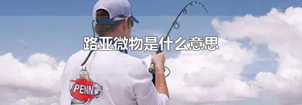 路亚微物是什么意思