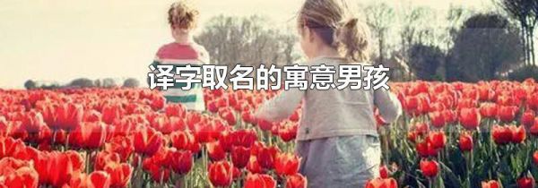 译字取名的寓意男孩
