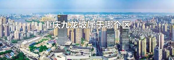 重庆九龙坡属于哪个区