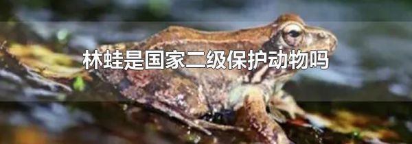 林蛙是国家二级保护动物吗