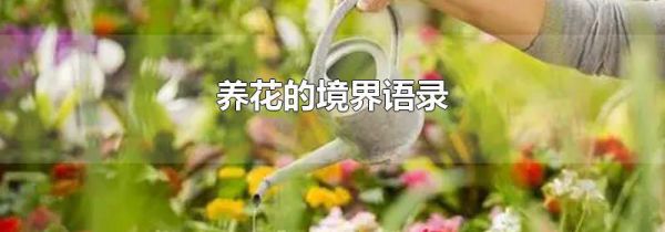 养花的境界语录
