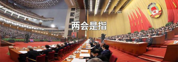 两会是指
