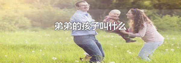 弟弟的孩子叫什么