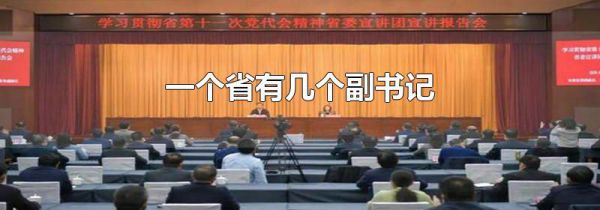 一个省有几个副书记