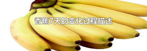 香蕉7天的变化过程描述