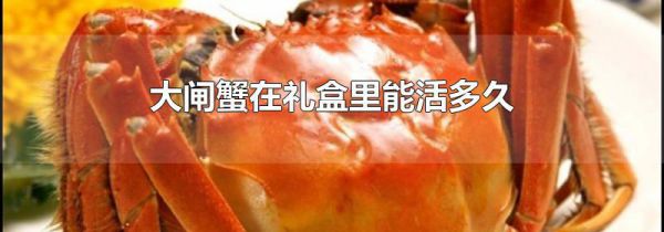 大闸蟹在礼盒里能活多久