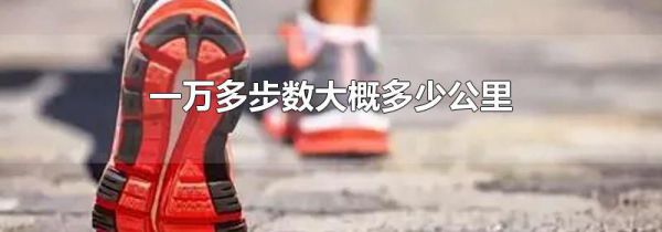 一万多步数大概多少公里