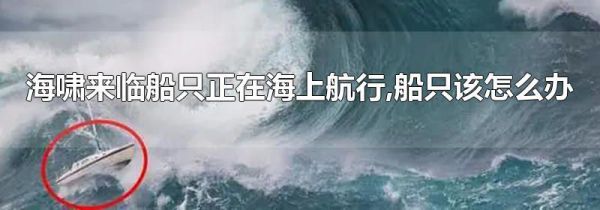 海啸来临船只正在海上航行,船只该怎么办