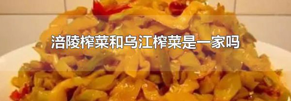 涪陵榨菜和乌江榨菜是一家吗