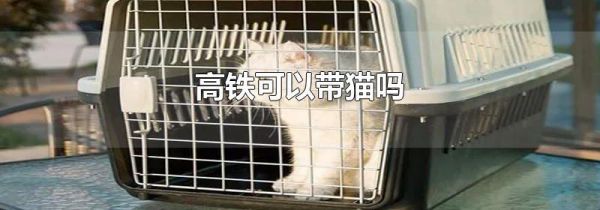 高铁可以带猫吗