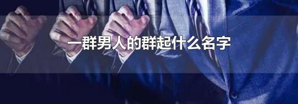一群男人的群起什么名字