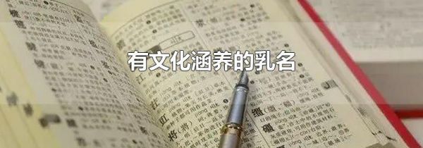 有文化涵养的乳名