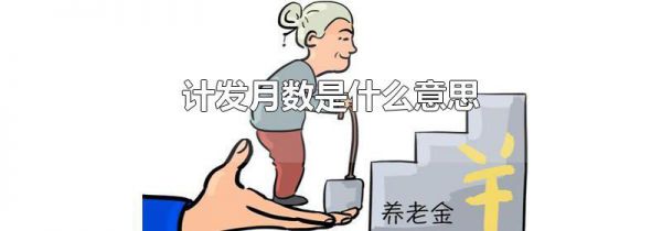 计发月数是什么意思
