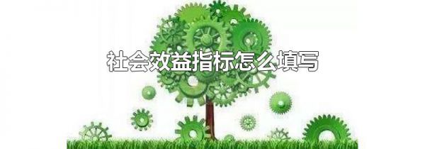 社会效益指标怎么填写
