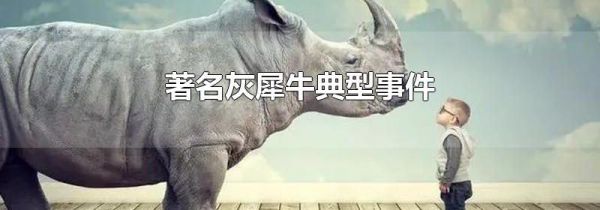 著名灰犀牛典型事件