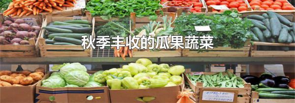 秋季丰收的瓜果蔬菜