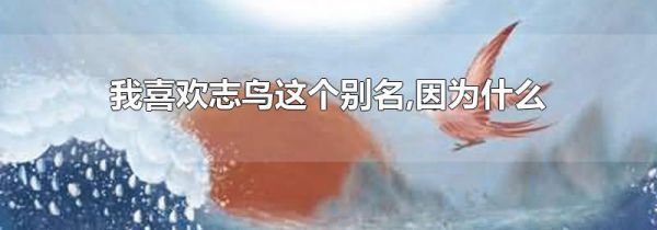 我喜欢志鸟这个别名,因为什么
