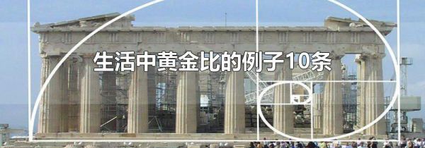 生活中黄金比的例子10条