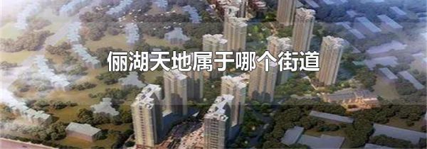 俪湖天地属于哪个街道