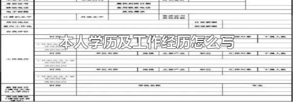 本人学历及工作经历怎么写